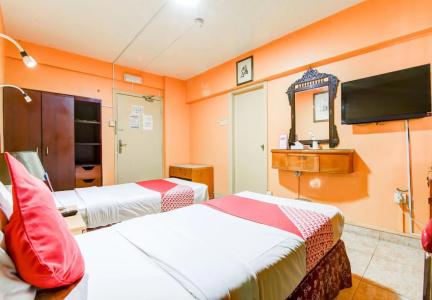OYO 270 Dream Land - 5