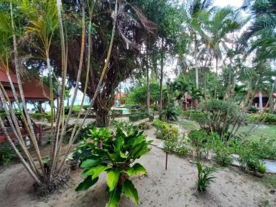 Morning Star Resort - 210