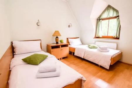 Eco Friendly Dália - 16