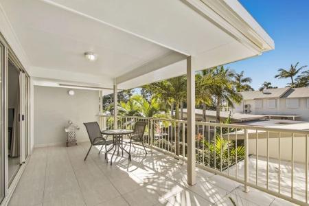 Noosa River Palms - 70