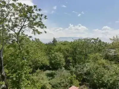 Guest House Sofia - 6