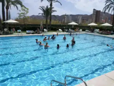 Caballo de Oro - 7