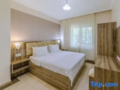 Afyon Dundar Thermal Villa - 55