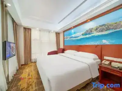Vienna Dongguan Hou street Wanda Plaza - 33