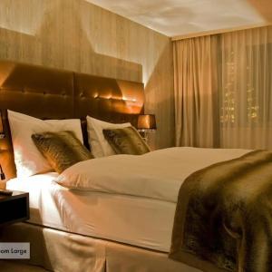 Grischa - Das Davos - 24
