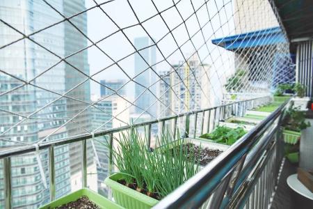 Only Cafe and Backpacker - 24