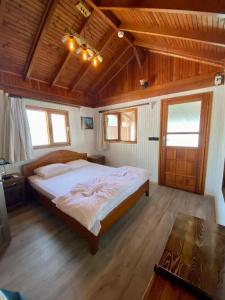 Ankh Pension - 19