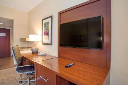 Comfort Suites North - 109