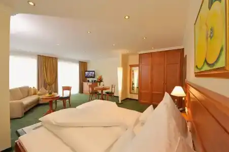 Schweizer Hof Thermal und Vital Resort - 38