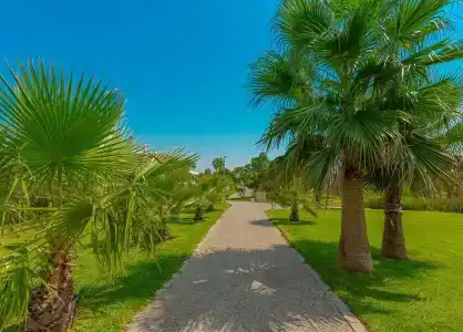 Sural Resort - 14