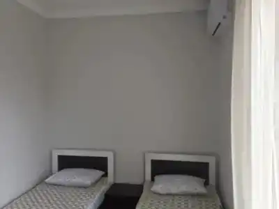 Давид - 4
