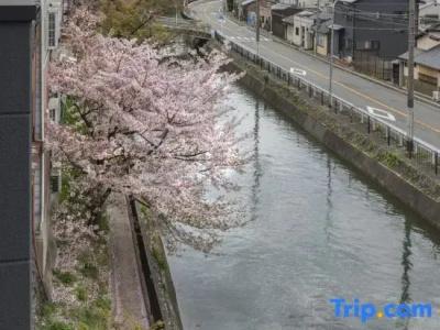 Tofukuji Riverside - 44
