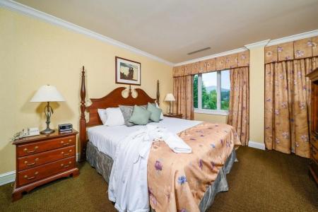 Stoweflake Mountain & Spa - 15