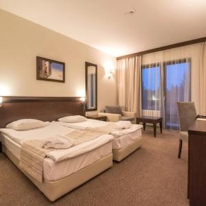 Lion Borovets - 28