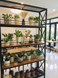 Villa Thai Orchid (adult only) - 19