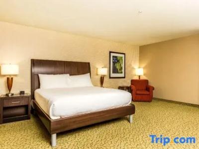 Hilton Garden Inn - 62