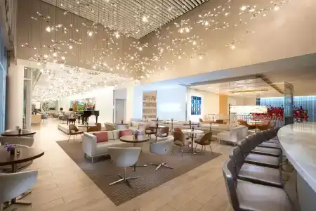 Hall Arts, Dallas, Curio Collection By Hilton - 15