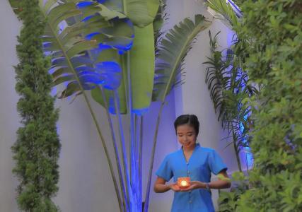 Samui Blue Orchid - Adult Only - 22