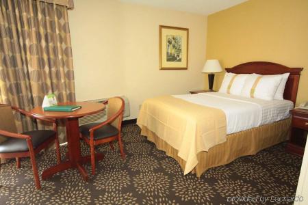 Holiday Inn Charleston-Riverview, An Ihg - 4