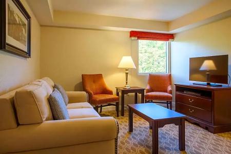 Bluegreen Vacations Patrick Henry Sqr, Ascend Collection - 57