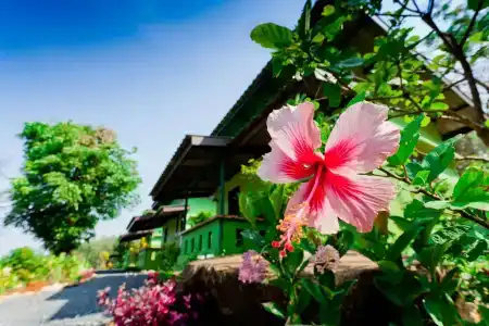 The Mouth Resort - Sha Extra Plus - 14