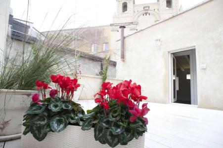 San Francesco - 25