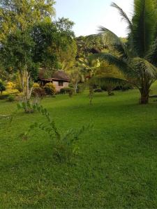 Phanom Bencha Mountain Resort - 9