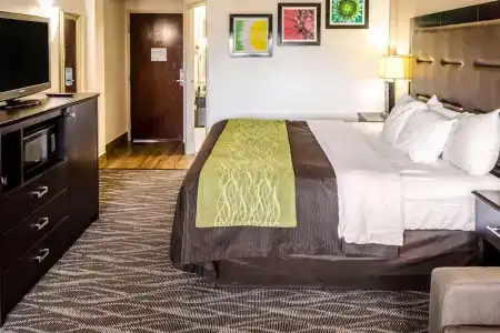 Comfort Inn Downtown Charleston - 5