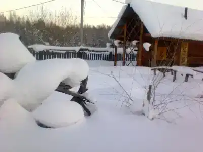 Алтайна - 34