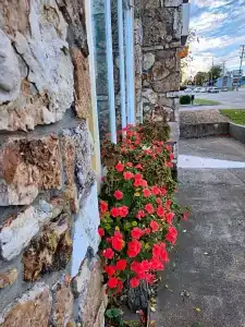 Homestead - 36