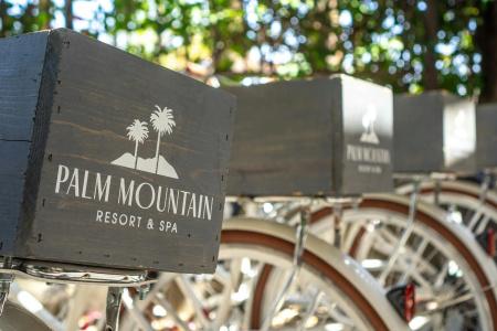 Palm Mountain & Spa - 32