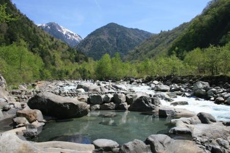 Shinzanso - 9