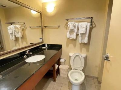 Comfort Suites North - 92