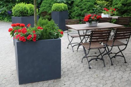 Gut Moschenhof - 9
