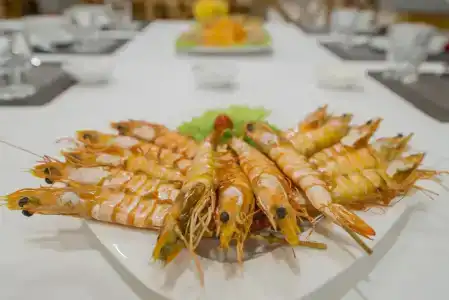 Palma Resort - 12