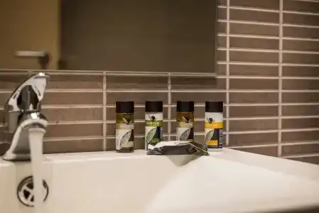 Trianon Luxury  & Suites - 257