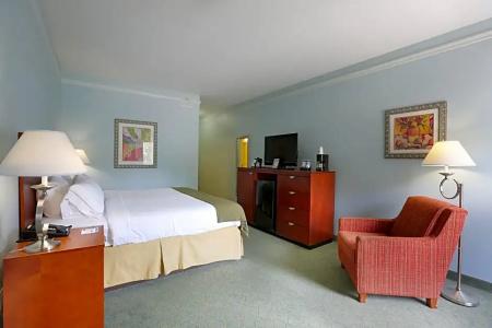 Holiday Inn Express North Telecom Park, An Ihg - 67