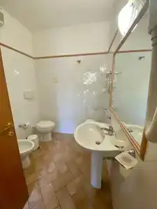 Le Querciolaie dei Ricci - 69