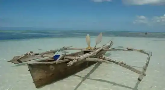 Simba Beach Zanzibar - 23