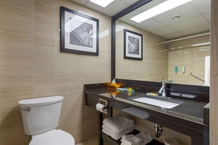 Best Western Plus Village Park Inn - 8