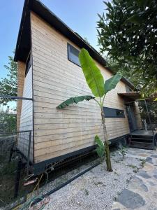 Gaia Tiny Houses Butik - 47