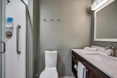 Home2 Suites By Hilton Dfw Airport South - 51