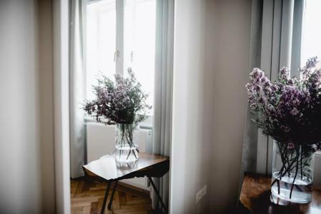 Small Luxury Altstadt Vienna - 3