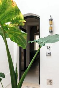 Palazzo De Noha - Boutique - 71
