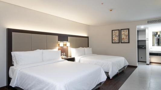 Holiday Inn Express - Mexico Basilica, An Ihg - 31
