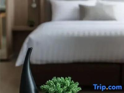 Madera Residence Sriracha - 55