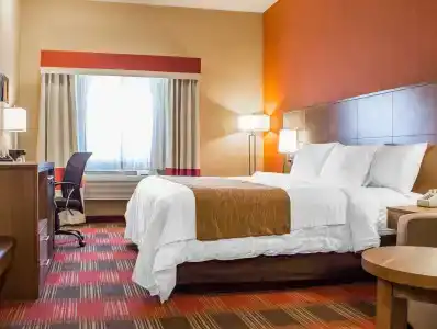 Comfort Inn Lucky Lane - 21