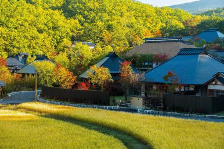 Miyama Sansou - 15
