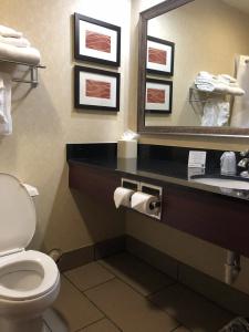 Comfort Inn Civic Center - 8