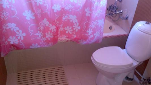 Orchid - 41